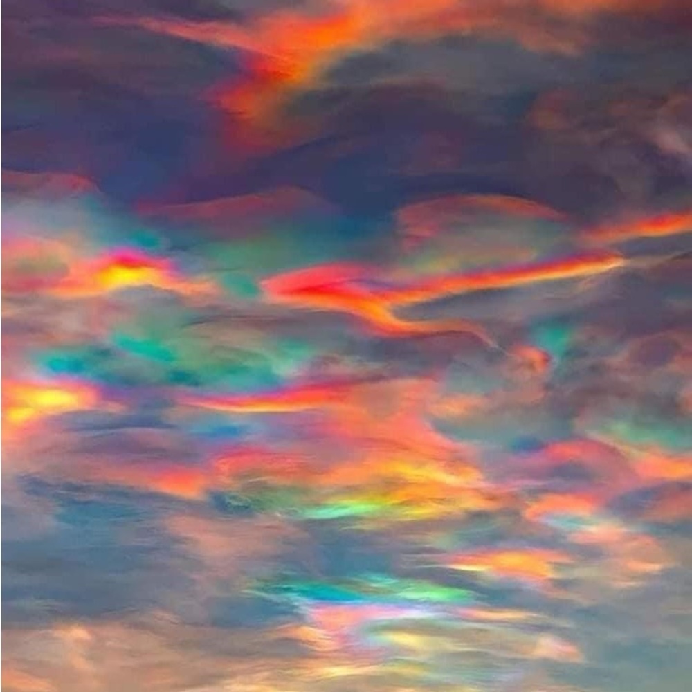 Meet your Posher, Ariel